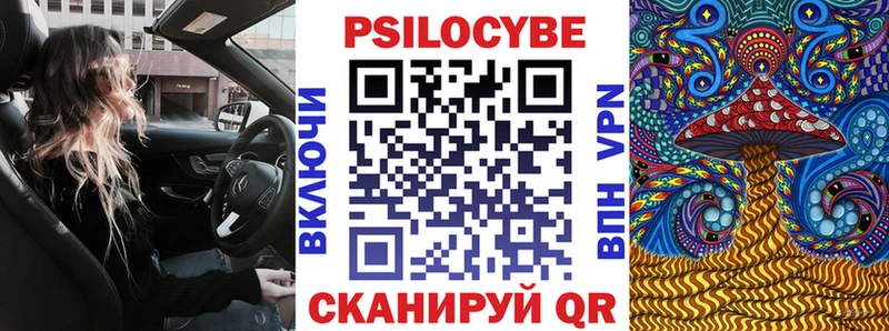 Псилоцибиновые грибы мицелий  Купить  Приморск 